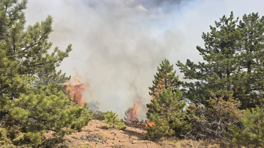Konya Derbent’te orman yangını çıktı 2